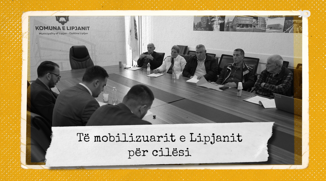 Auditimi Social – Lipjan
